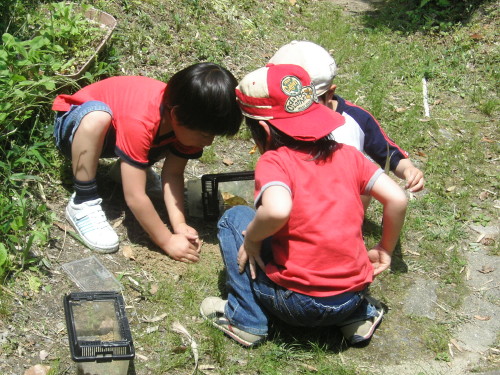 img0090.jpg