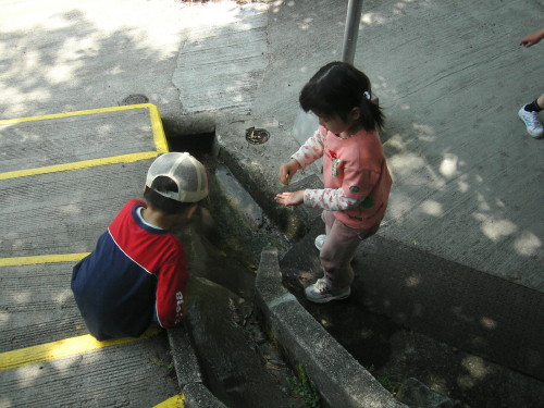 img0092.jpg