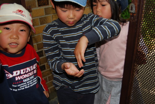 img0093.jpg