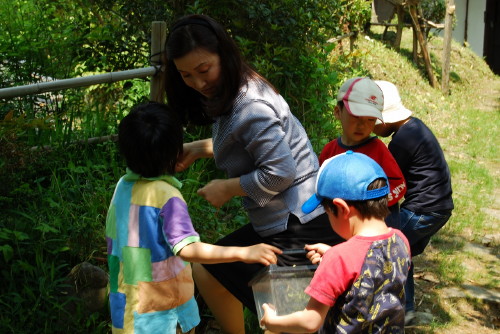 img0094.jpg